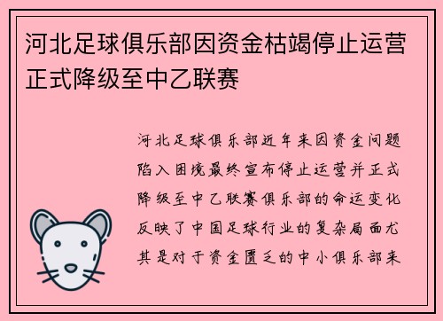 河北足球俱乐部因资金枯竭停止运营正式降级至中乙联赛 河北足球俱乐部因资金枯竭停止运营正式降级至中乙联赛